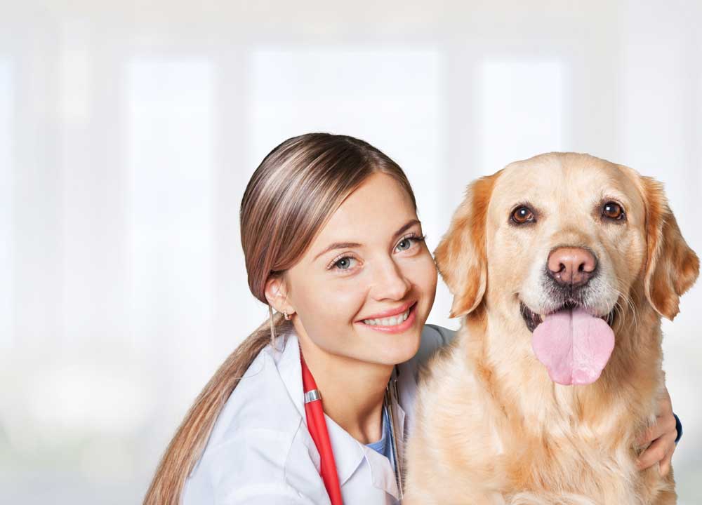 pets-and-pet-care